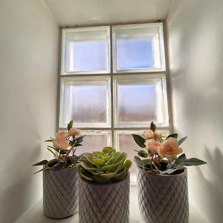 公寓 Lana #clim#terrasse - Meuble Classe 3etoiles