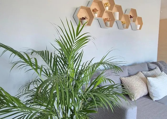 Appartement Lana #clim#terrasse - Meublé Classé 3étoiles Clermont-Ferrand