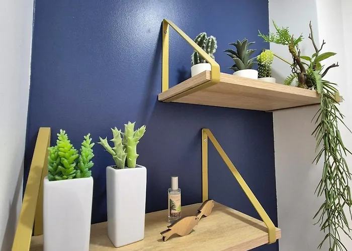 Lana #clim#terrasse - Meublé Classé 3étoiles * Clermont-Ferrand